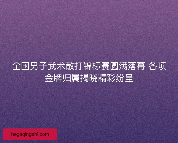 全国男子武术散打锦标赛圆满落幕 各项金牌归属揭晓精彩纷呈