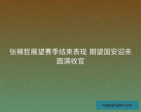 张稀哲展望赛季结束表现 期望国安迎来圆满收官